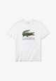 T-shirt Lacoste TH6386 001 Blanc