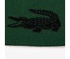 Bonnet Lacoste réversible RB0059 964 Black Green